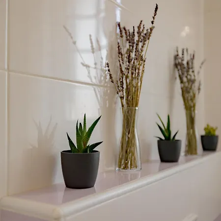 Serendipitycomo Apartamento